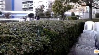 JD049 人類高質量男性相親記